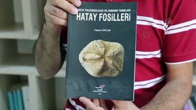 salyangoz - Biyoloji öğretmeninin 'fosil koleksiyonu' - HATAY  Videosu