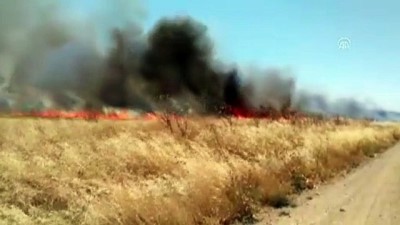 aniz yangini - Suriye sınırında yangın - ŞANLIURFA  Videosu