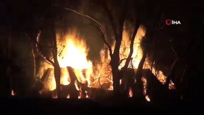 siddetli ruzgar -  Dalaman’daki yangın devam ediyor... Yangından etkilenebilecek 2 köy boşaltıldı Videosu