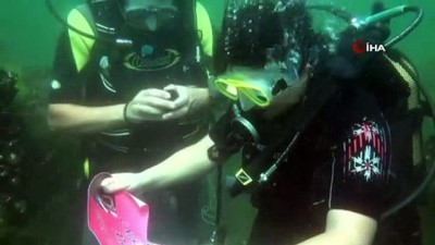 evlilik teklifi - Su altında evlilik teklifi Videosu