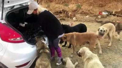 fedakar ogretmen -  Fedakar öğretmen köpekleri için tatilden vazgeçti Videosu