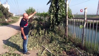 yuksek gerilim -  Kavak budarken akıma kapılan şahıs öldü  Videosu