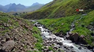 keci -  Beytüşşebap Dağları'ndan yaz manzaraları havadan görüntülendi  Videosu