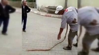 icme suyu -  İçme suyu borusundan çıkan 9 metrelik ağaç kökü şaşırttı  Videosu