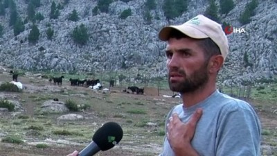 keci -  Selanik göçmeni aile yaylada besicilik yaparak geçiniyor...Yayla havadan görüntülendi  Videosu