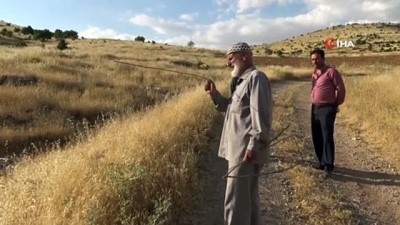 icme suyu -  Bakır tel, dut ve nar ağaçlarının dalları ile su buluyor  Videosu