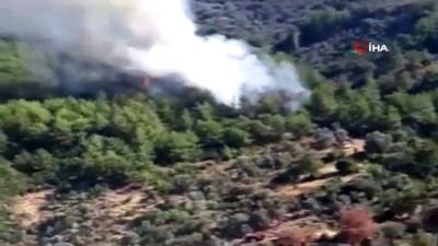 ormanli -  Fethiye’de orman yangını Videosu