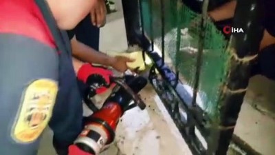 korkuluk -  Yavru köpeğin imdadına itfaiye yetişti  Videosu