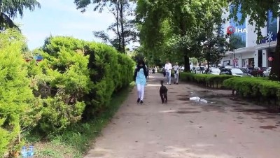 hayvan sevgisi -  Her gün aç geziyordu nedeni ise şaşırttı... Biriktirdiği harçlıkları sokak hayvanları için harcıyormuş  Videosu