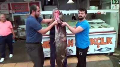 baraj golu -  Bu balığın ağırlığı 100 kilo boyu 2 metre  Videosu