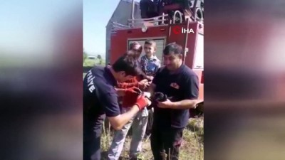 kurtarma operasyonu -  İtfaiyeden karga kurtarma operasyonu  Videosu