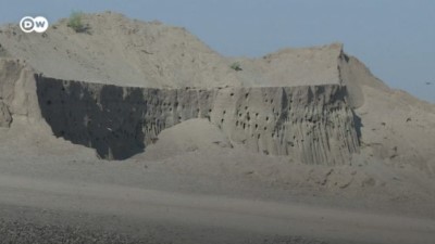 Ayda 100 bin TL zarara rağmen kuşların yuvasını bozmadılar 