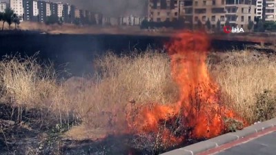  Diyarbakır’da anız ve kurumuş otlar alev alev yandı