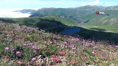 goller -  Yedi Göller bölgesindeki krater gölleri eşsiz manzarasıyla ziyaretçilerini bekliyor  Videosu