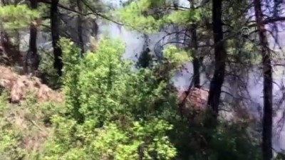 orman iscisi - Denizli'de orman yangını  Videosu