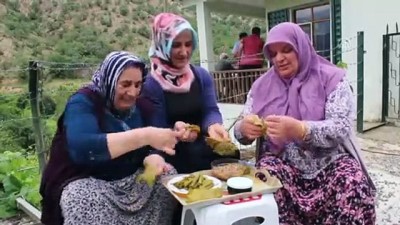 kemik erimesi - Yaprağı, meyvesinin 6 katı fiyata satılıyor - KASTAMONU  Videosu