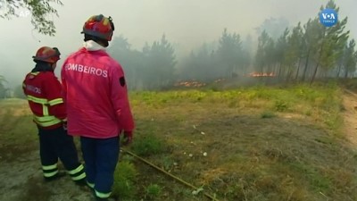 Portekiz’de Orman Yangınları