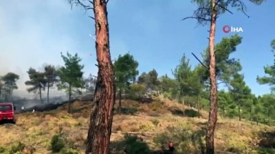  Aydın’da aynı bölgede iki ayrı orman yangını korkuttu