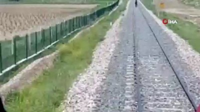 tren raylari -  Tren rayları üzerinde yürüyen at, makinistin dikkati sayesinde böyle kurtuldu Videosu