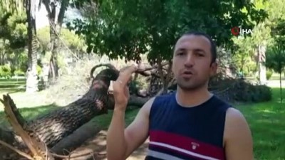 baldiz -  Aydın'da bir aile faciadan kıl payı kurtuldu  Videosu