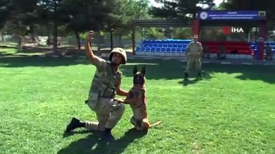  JAKEM’in köpekleri şınav çekiyor, komando dansı yapıyor 