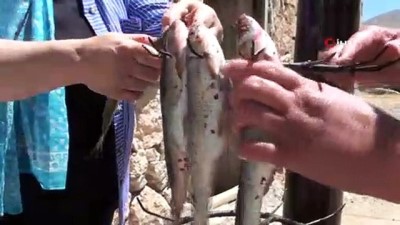 balik turu -  Sezonun ilk balıkları tandırda pişti  Videosu