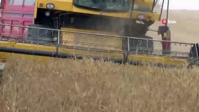  Sivas’ta başlayan buğday hasadı havadan görüntülendi 