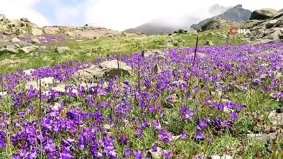 kisla -  Yüksek zirvelerin cenneti 'Artabel Gölleri Tabiat Parkı' havadan görüntülendi  Videosu