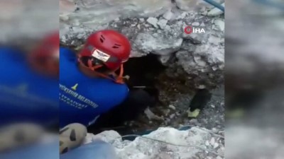  İzmir'de minik köpek için seferber oldular 