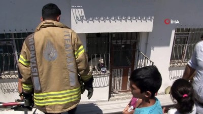 itfaiye eri -  Pencere parmaklıklarına sıkışan köpek, güneşin altında 2 gün boyunca aç susuz kaldı  Videosu