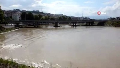 yunuslar -  Alaplı Çayı'nda yunus balığı...Balık sürülerini takip eden 2 yunus 70 metre mesafede bulunan Alaplı Çayı'na kadar geldi  Videosu