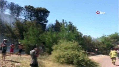 tas ocagi -  Ayvalık'ta korkutan orman yangını Videosu