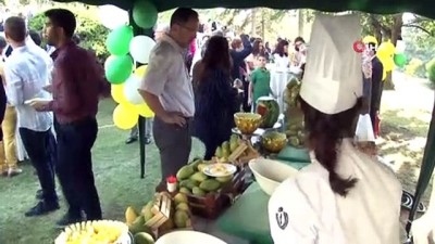 meyvelerin krali -  Ankara’da mango tadında festival Videosu