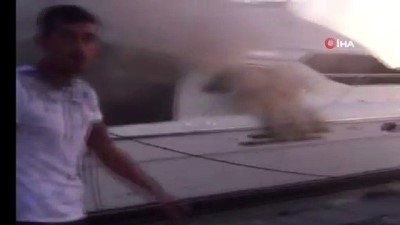 kirkoy -  Ataköy Marina’da yangın  Videosu