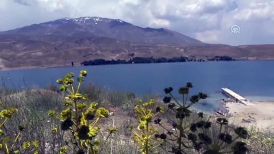 yesil doga - Aygır Gölü için 'hassasiyet' sevinci - BİTLİS  Videosu