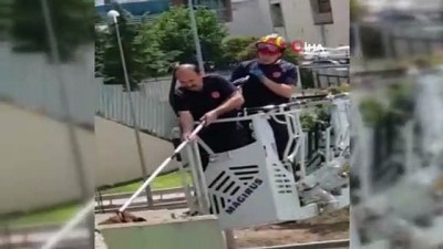 ust gecit -  İtfaiyenin üst geçitte mahsur kalan köpeği kurtarma operasyonu kamerada  Videosu