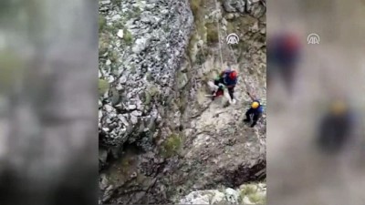 mahsur kaldi - Kayalıklarda mahsur kalan köpek ekiplerce kurtarıldı - ERZİNCAN Videosu
