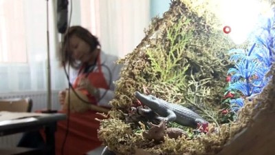 konsept -  Kazak gelinin hobisi mesleği oldu  Videosu