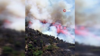  Gaziantep'te orman yangını