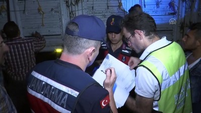 Kurbanlıklar İstanbul'a getirilmeye başlandı 