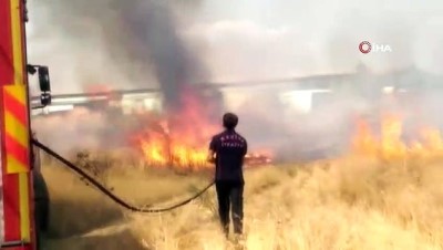 efes -  Manisa’da ot yangını korkuttu  Videosu