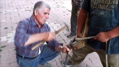 karahisar - Afyonkarahisar'ın yarım asırlık seyyar nalbantı  Videosu