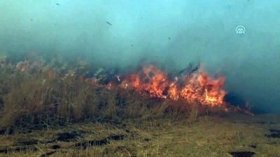 aniz yangini - Anız yangını - GAZİANTEP Videosu