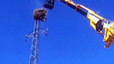 elektrik diregi - Ayağına ip dolanan leylek kurtarıldı - MALATYA  Videosu