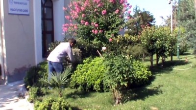 cami bahcesi - Çevreci imam cami avlusunu botanik bahçesine çevirdi - BALIKESİR  Videosu