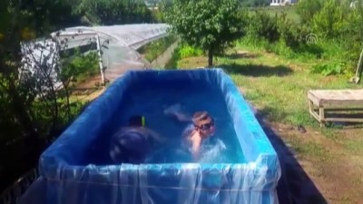 yuzme - Çocukların traktör römorkunda havuz keyfi - TOKAT Videosu