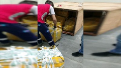 İstanbul Havalimanı'nda 1,2 ton pangolin pulu ele geçirildi - İSTANBUL 