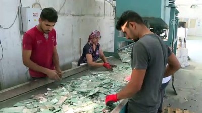kok hucre nakli - Atık camlar yeniden ekonomiye kazandırılıyor - İZMİR  Videosu