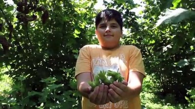 organik pazar - İkizce'de tarıma yönelik panel düzenlendi - ORDU Videosu
