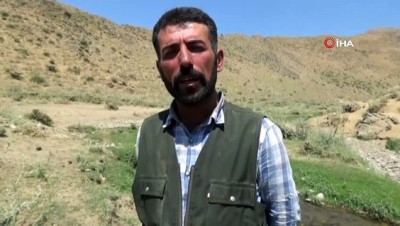  İran’da iş bulamadı, Hakkari'de çobanlık yapıyor